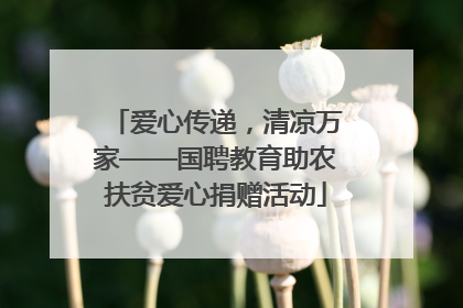 爱心传递，清凉万家——国聘教育助农扶贫爱心捐赠活动