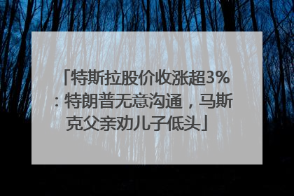 特斯拉股价收涨超3%：特朗普无意沟通，马斯克父亲劝儿子低头