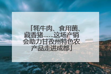 牦牛肉、食用菌、藏香猪……这场产销会助力甘孜州特色农产品走进成都