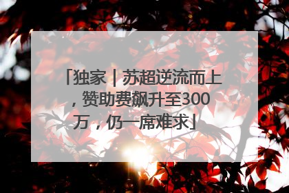 独家｜苏超逆流而上，赞助费飙升至300万，仍一席难求