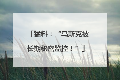 猛料：“马斯克被长期秘密监控！”