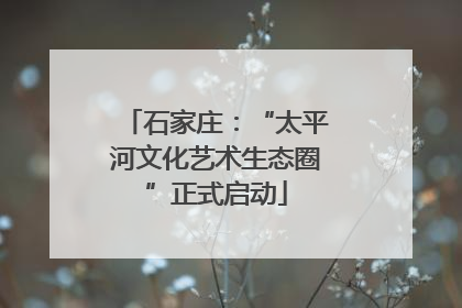 石家庄：“太平河文化艺术生态圈”正式启动