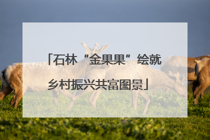 石林“金果果”绘就乡村振兴共富图景