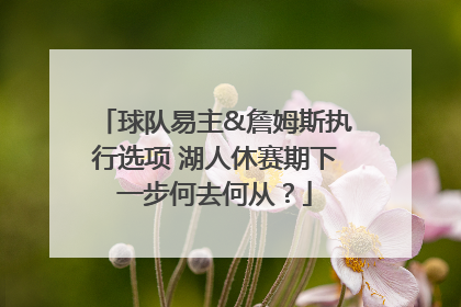 球队易主&詹姆斯执行选项 湖人休赛期下一步何去何从？