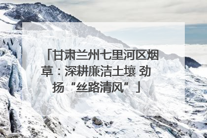 甘肃兰州七里河区烟草：深耕廉洁土壤 劲扬“丝路清风”