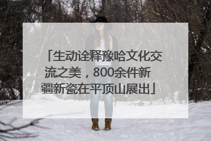 生动诠释豫哈文化交流之美，800余件新疆新瓷在平顶山展出
