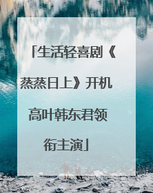 生活轻喜剧《蒸蒸日上》开机 高叶韩东君领衔主演