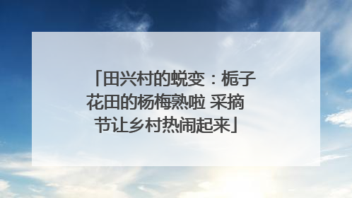 田兴村的蜕变：栀子花田的杨梅熟啦 采摘节让乡村热闹起来