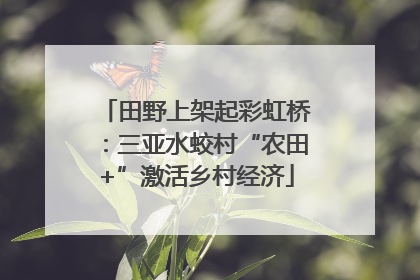 田野上架起彩虹桥：三亚水蛟村“农田+”激活乡村经济