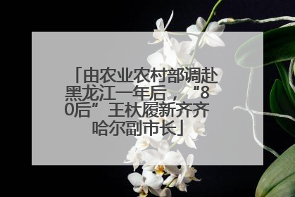 由农业农村部调赴黑龙江一年后，“80后”王杕履新齐齐哈尔副市长
