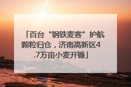 百台“钢铁麦客”护航颗粒归仓，济南高新区4.7万亩小麦开镰