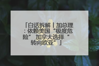 白话拆解丨加总理：依赖美国“极度危险” 加拿大选择“转向欧亚”