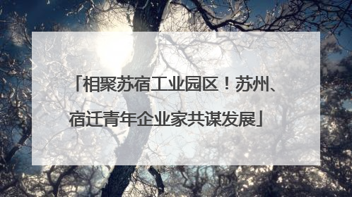 相聚苏宿工业园区！苏州、宿迁青年企业家共谋发展