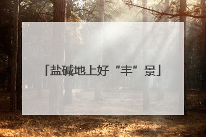 盐碱地上好“丰”景