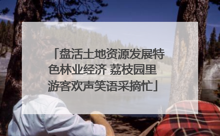 盘活土地资源发展特色林业经济 荔枝园里游客欢声笑语采摘忙