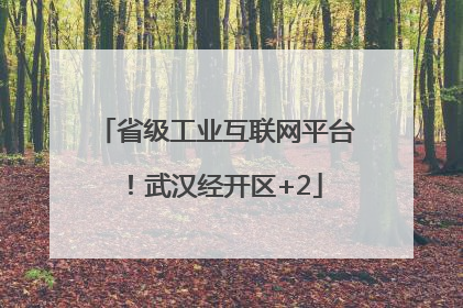省级工业互联网平台！武汉经开区+2