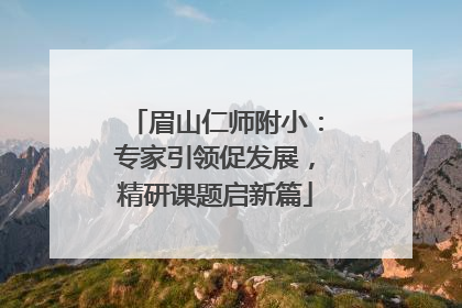 眉山仁师附小：专家引领促发展，精研课题启新篇