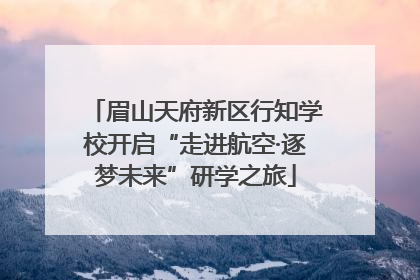 眉山天府新区行知学校开启“走进航空·逐梦未来”研学之旅