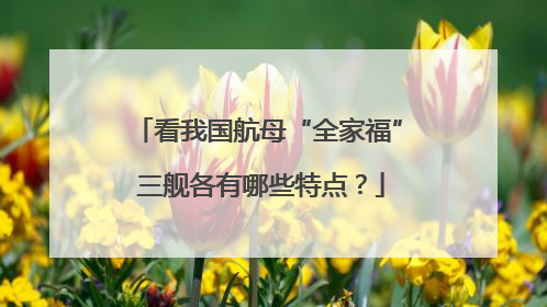 看我国航母“全家福” 三舰各有哪些特点？