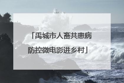 禹城市人畜共患病防控微电影进乡村