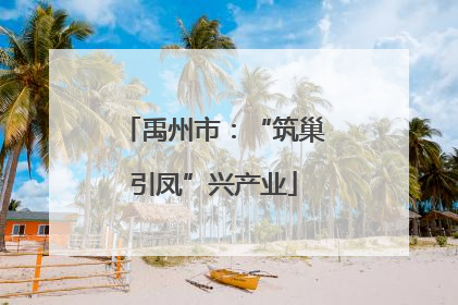 禹州市：“筑巢引凤”兴产业
