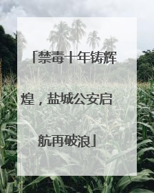 禁毒十年铸辉煌，盐城公安启航再破浪