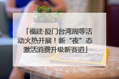 福建·厦门台湾周等活动火热开展！新“夜”态激活消费升级新赛道