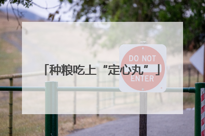 种粮吃上“定心丸”