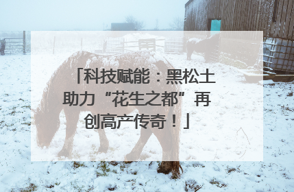 科技赋能：黑松土助力“花生之都”再创高产传奇！