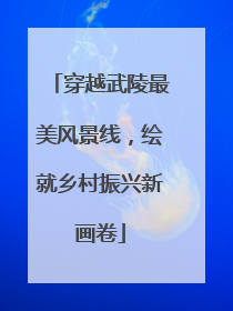 穿越武陵最美风景线，绘就乡村振兴新画卷