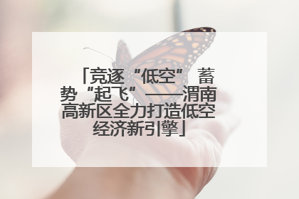 竞逐“低空” 蓄势“起飞”——渭南高新区全力打造低空经济新引擎