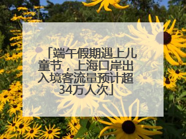 端午假期遇上儿童节，上海口岸出入境客流量预计超34万人次