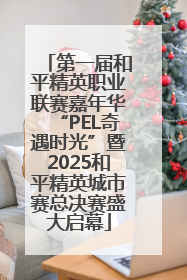 第一届和平精英职业联赛嘉年华“PEL奇遇时光”暨2025和平精英城市赛总决赛盛大启幕