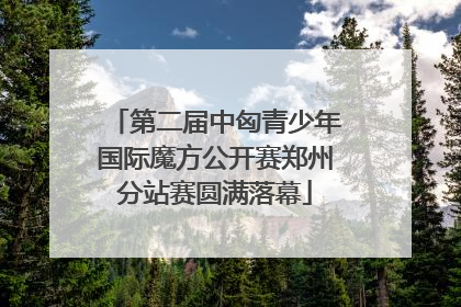 第二届中匈青少年国际魔方公开赛郑州分站赛圆满落幕