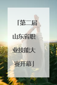 第二届山东省职业技能大赛开幕