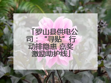 罗山县供电公司：“寻贴”行动排隐患 嘉奖激励助护线