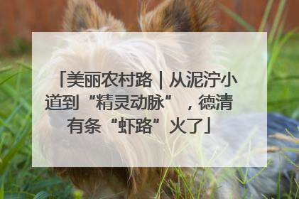 美丽农村路｜从泥泞小道到“精灵动脉”，德清有条“虾路”火了