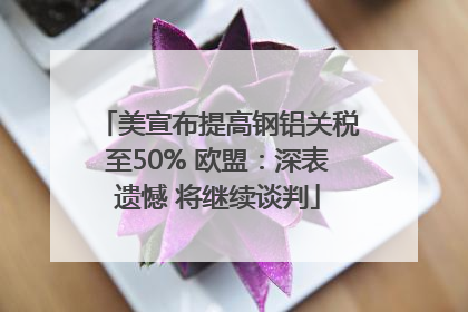 美宣布提高钢铝关税至50% 欧盟：深表遗憾 将继续谈判