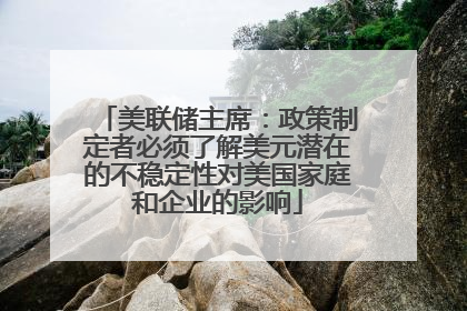 美联储主席：政策制定者必须了解美元潜在的不稳定性对美国家庭和企业的影响