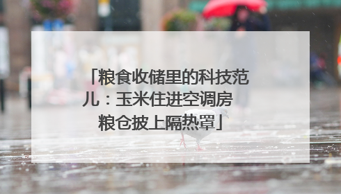 粮食收储里的科技范儿：玉米住进空调房 粮仓披上隔热罩