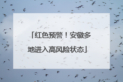 红色预警！安徽多地进入高风险状态