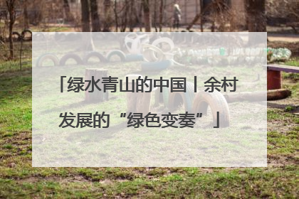 绿水青山的中国丨余村发展的“绿色变奏”