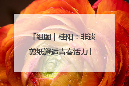 组图｜桂阳：非遗剪纸邂逅青春活力