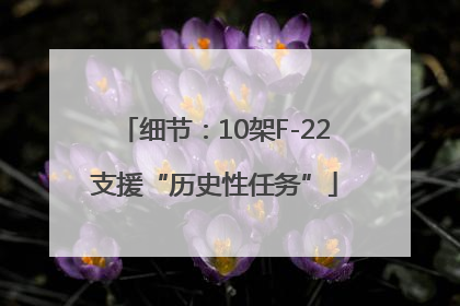 细节：10架F-22支援“历史性任务”