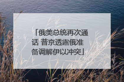 俄美总统再次通话 普京透露俄准备调解伊以冲突