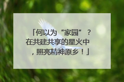 何以为“家园”？在共建共享的星火中，照亮精神原乡！