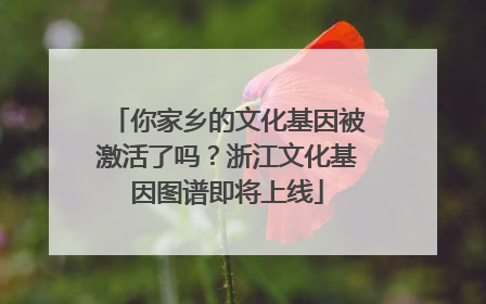 你家乡的文化基因被激活了吗？浙江文化基因图谱即将上线