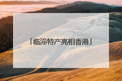 临潼特产亮相香港