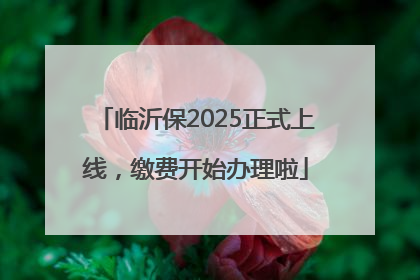 临沂保2025正式上线，缴费开始办理啦