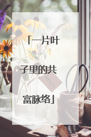 一片叶子里的共富脉络
